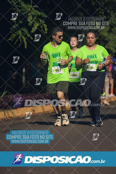 Vale Verde Run 2024