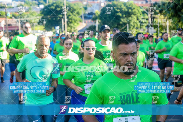 Vale Verde Run 2024