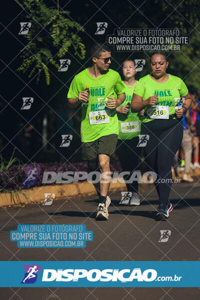 Vale Verde Run 2024