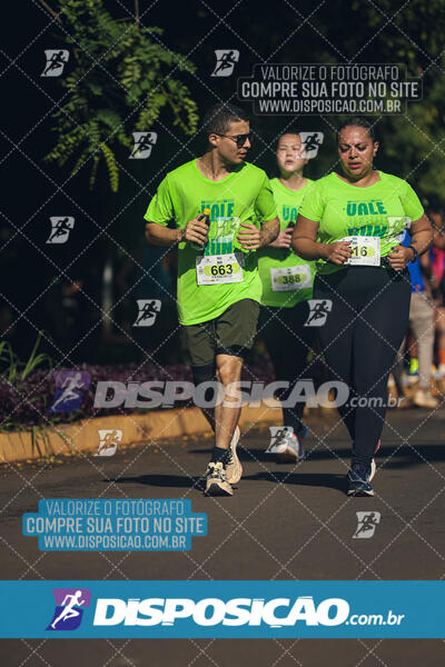 Vale Verde Run 2024