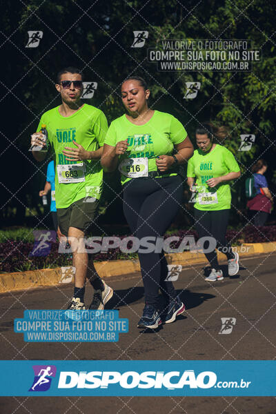 Vale Verde Run 2024