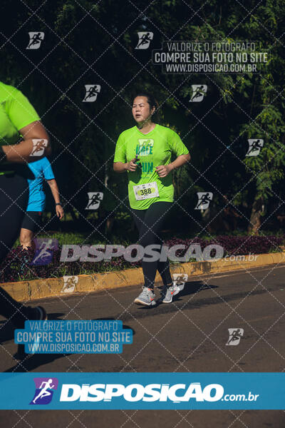 Vale Verde Run 2024