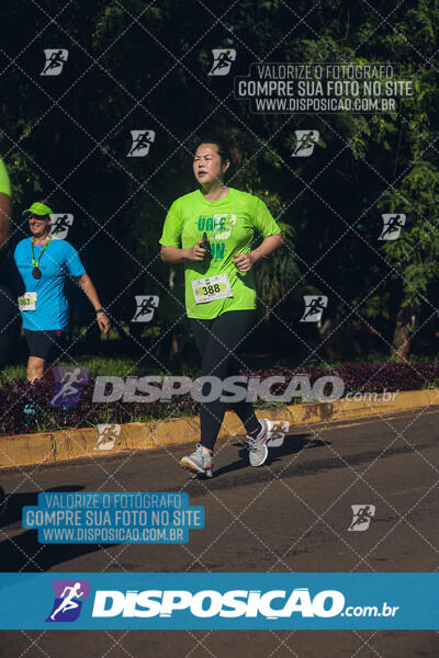 Vale Verde Run 2024