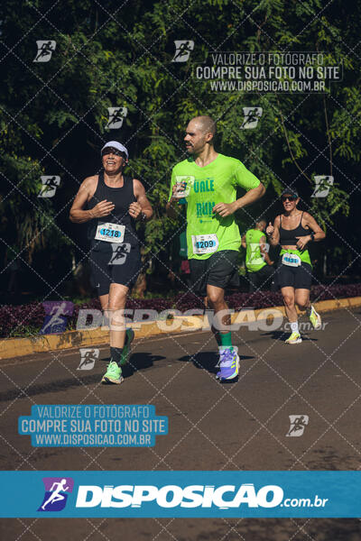 Vale Verde Run 2024