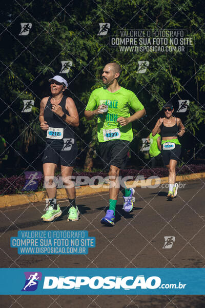 Vale Verde Run 2024