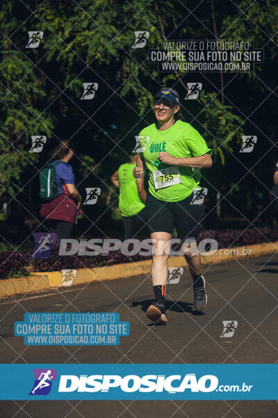 Vale Verde Run 2024