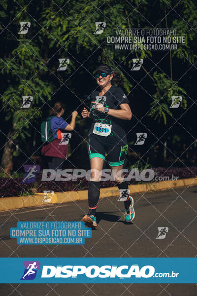 Vale Verde Run 2024