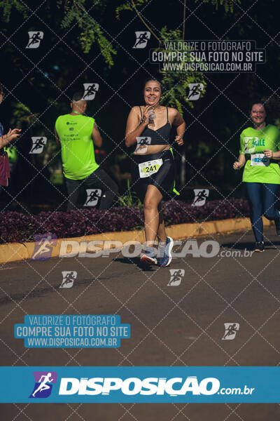 Vale Verde Run 2024