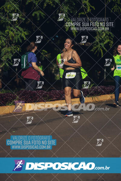 Vale Verde Run 2024