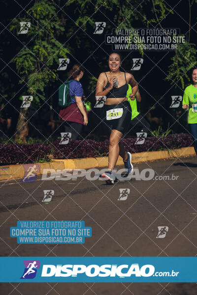 Vale Verde Run 2024