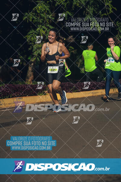 Vale Verde Run 2024