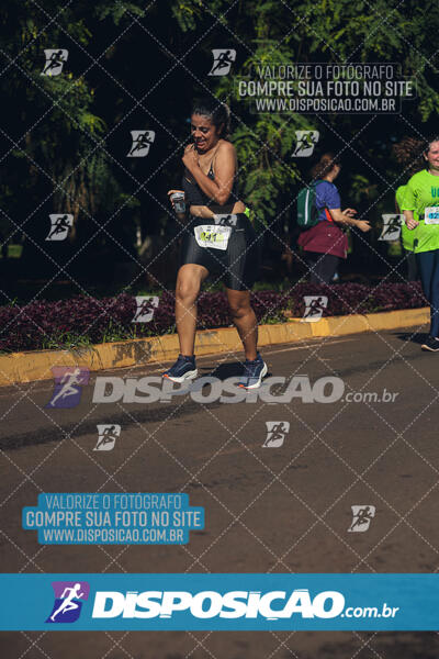 Vale Verde Run 2024