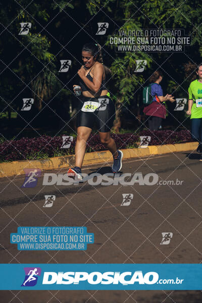 Vale Verde Run 2024