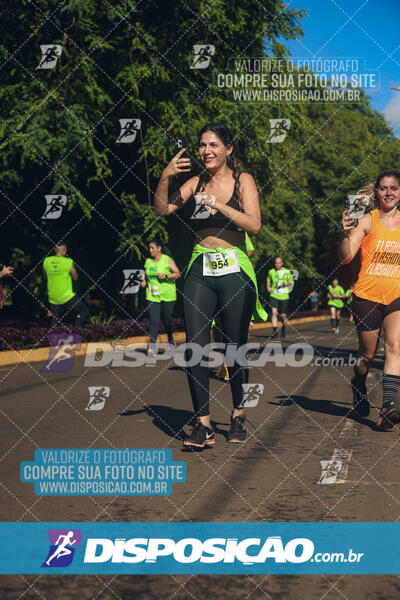 Vale Verde Run 2024