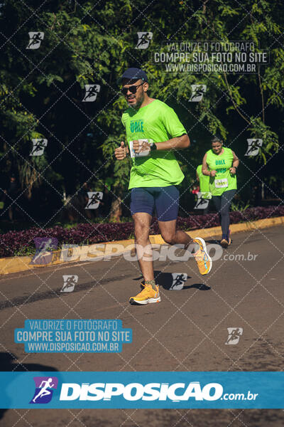 Vale Verde Run 2024