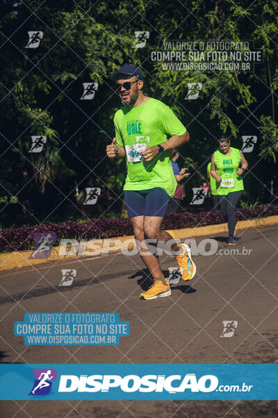 Vale Verde Run 2024