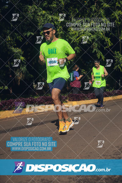 Vale Verde Run 2024