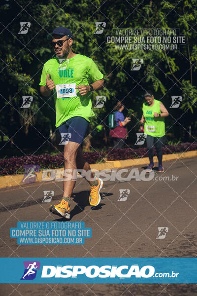 Vale Verde Run 2024