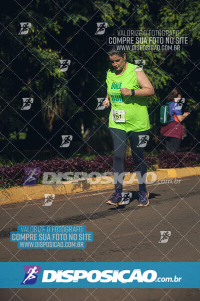 Vale Verde Run 2024