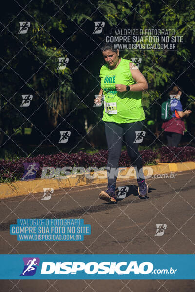 Vale Verde Run 2024