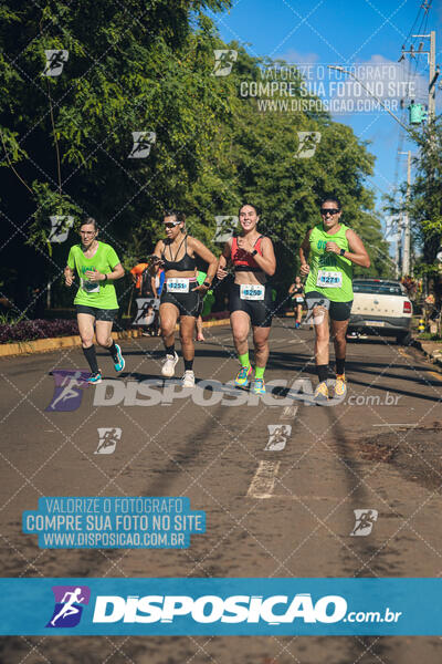 Vale Verde Run 2024