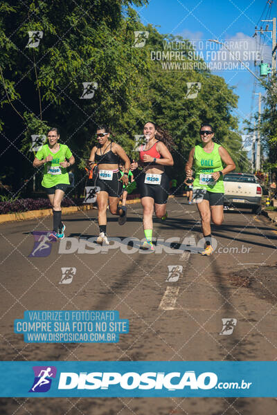 Vale Verde Run 2024