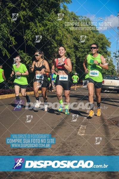 Vale Verde Run 2024