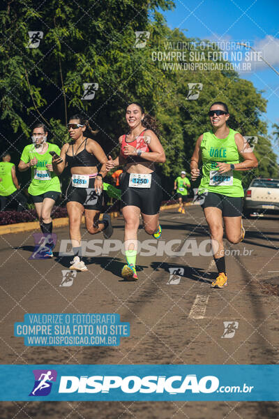 Vale Verde Run 2024