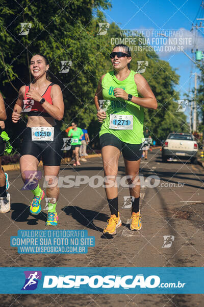 Vale Verde Run 2024