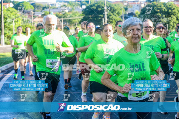 Vale Verde Run 2024