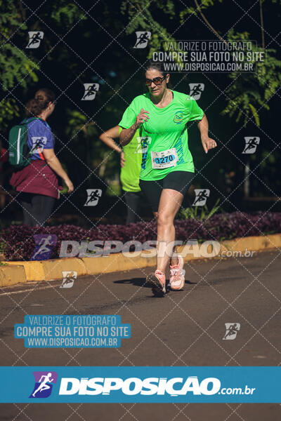 Vale Verde Run 2024