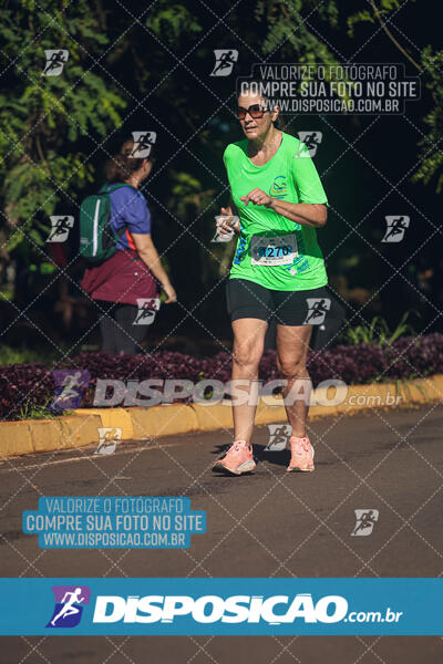 Vale Verde Run 2024