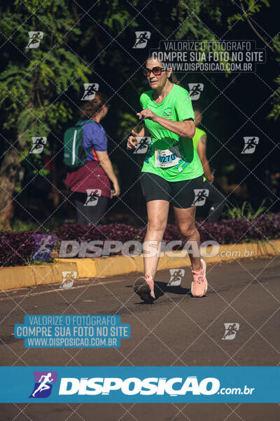 Vale Verde Run 2024