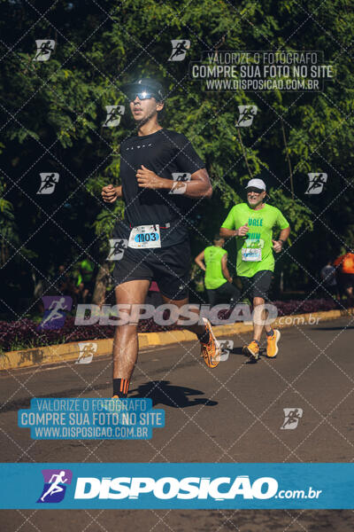 Vale Verde Run 2024