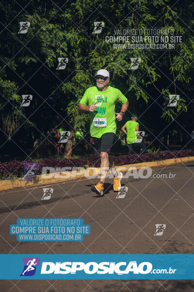 Vale Verde Run 2024