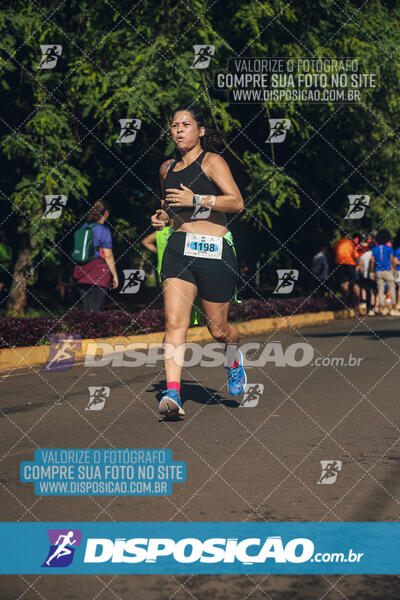 Vale Verde Run 2024