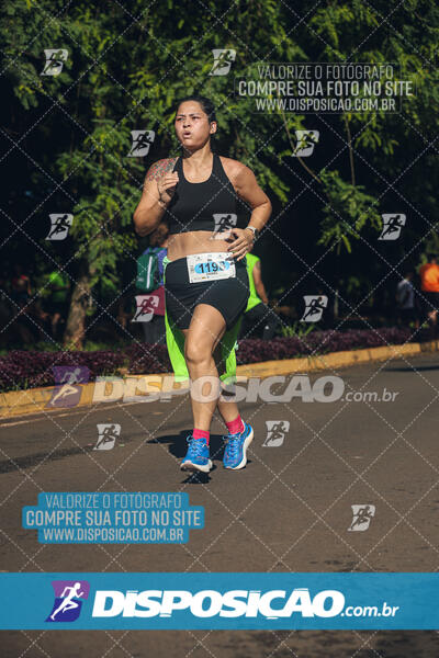 Vale Verde Run 2024