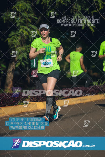 Vale Verde Run 2024