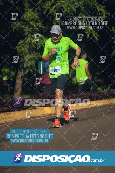 Vale Verde Run 2024