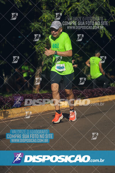 Vale Verde Run 2024