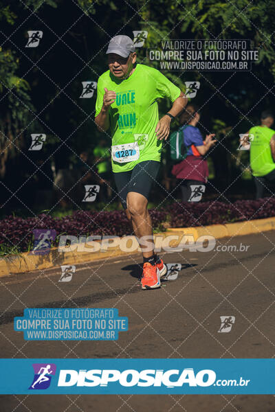 Vale Verde Run 2024