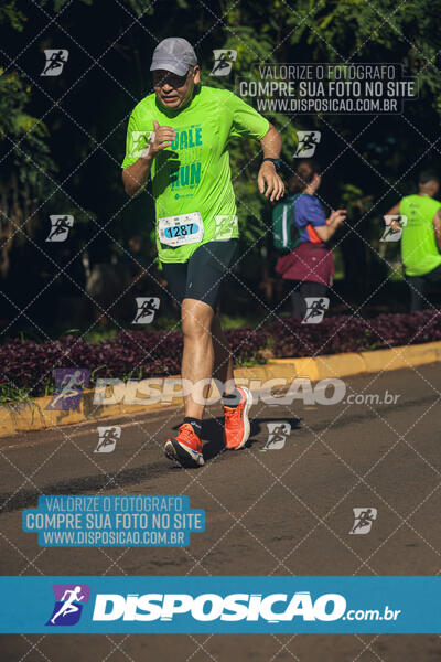 Vale Verde Run 2024