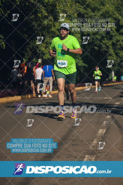 Vale Verde Run 2024