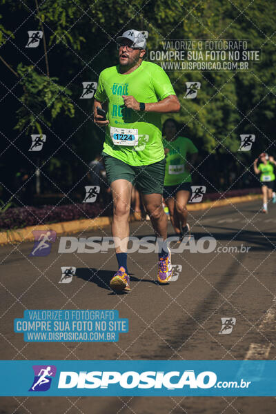 Vale Verde Run 2024