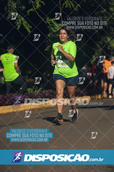 Vale Verde Run 2024