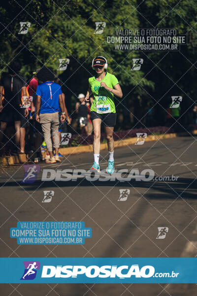 Vale Verde Run 2024