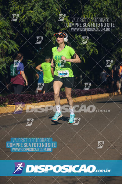 Vale Verde Run 2024