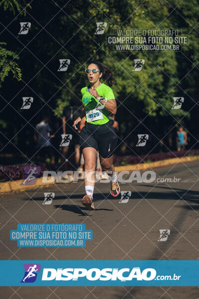 Vale Verde Run 2024