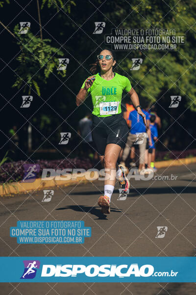 Vale Verde Run 2024