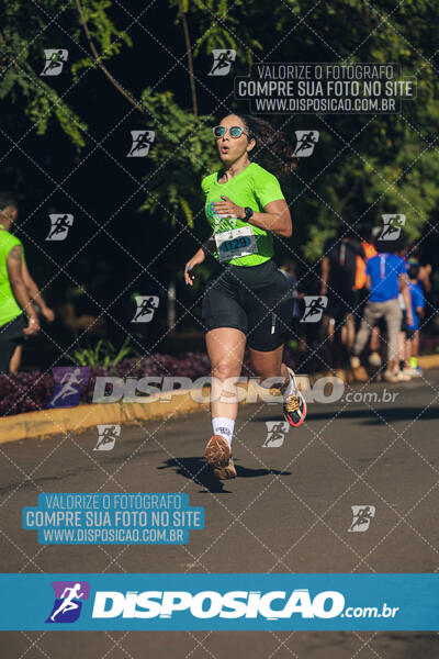 Vale Verde Run 2024